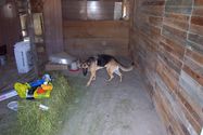 Filename=DCP_1570.JPG
Filesize=344KiB
Dimensions=2160x1440
Date added=May 25, 2005 DCP_1570.JPG