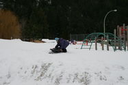 Filename=IMG_0252.JPG
Filesize=3223KiB
Dimensions=3888x2592
Date added=Feb 02, 2008 IMG_0252.JPG