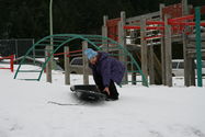 Filename=IMG_0256.JPG
Filesize=3402KiB
Dimensions=3888x2592
Date added=Feb 02, 2008 IMG_0256.JPG