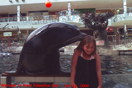 Filename=Kaija-seal2.jpg
Filesize=803KiB
Dimensions=1169x779
Date added=Jul 22, 2009 Kaija-seal2.jpg