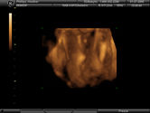 Filename=MADDUX_26.JPG
Filesize=76KiB
Dimensions=800x600
Date added=May 01, 2005 MADDUX_26.JPG