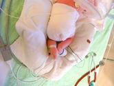 Filename=PB280019.JPG
Filesize=4207KiB
Dimensions=3072x2304
Date added=Nov 28, 2006 PB280019.JPG