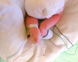 Filename=PB280019~0.JPG
Filesize=1057KiB
Dimensions=1518x1217
Date added=Nov 28, 2006 PB280019~0.JPG