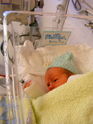 Filename=PB300008.JPG
Filesize=3888KiB
Dimensions=2304x3072
Date added=Nov 30, 2006 PB300008.JPG